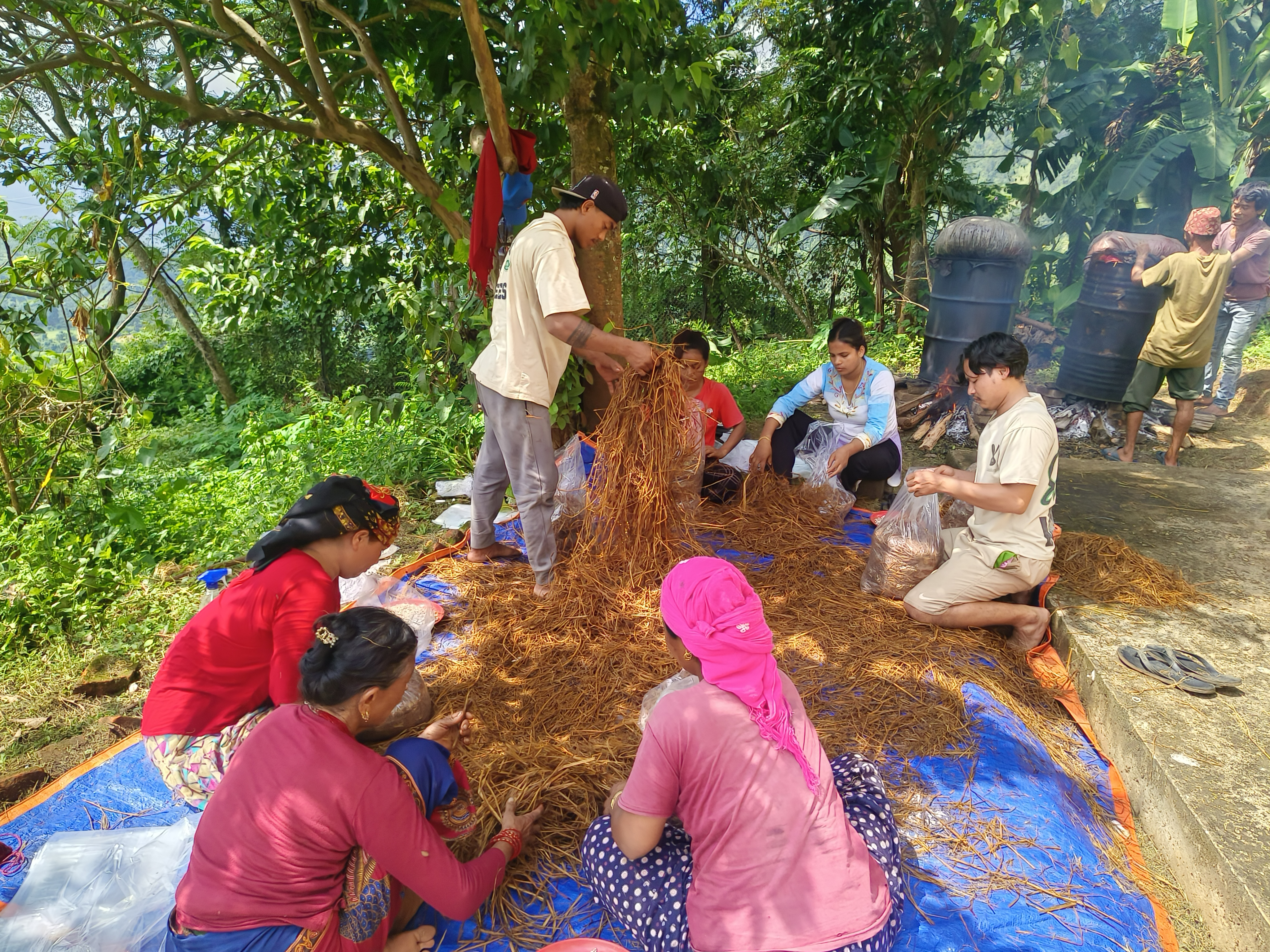 च्याउ  उत्पादन 