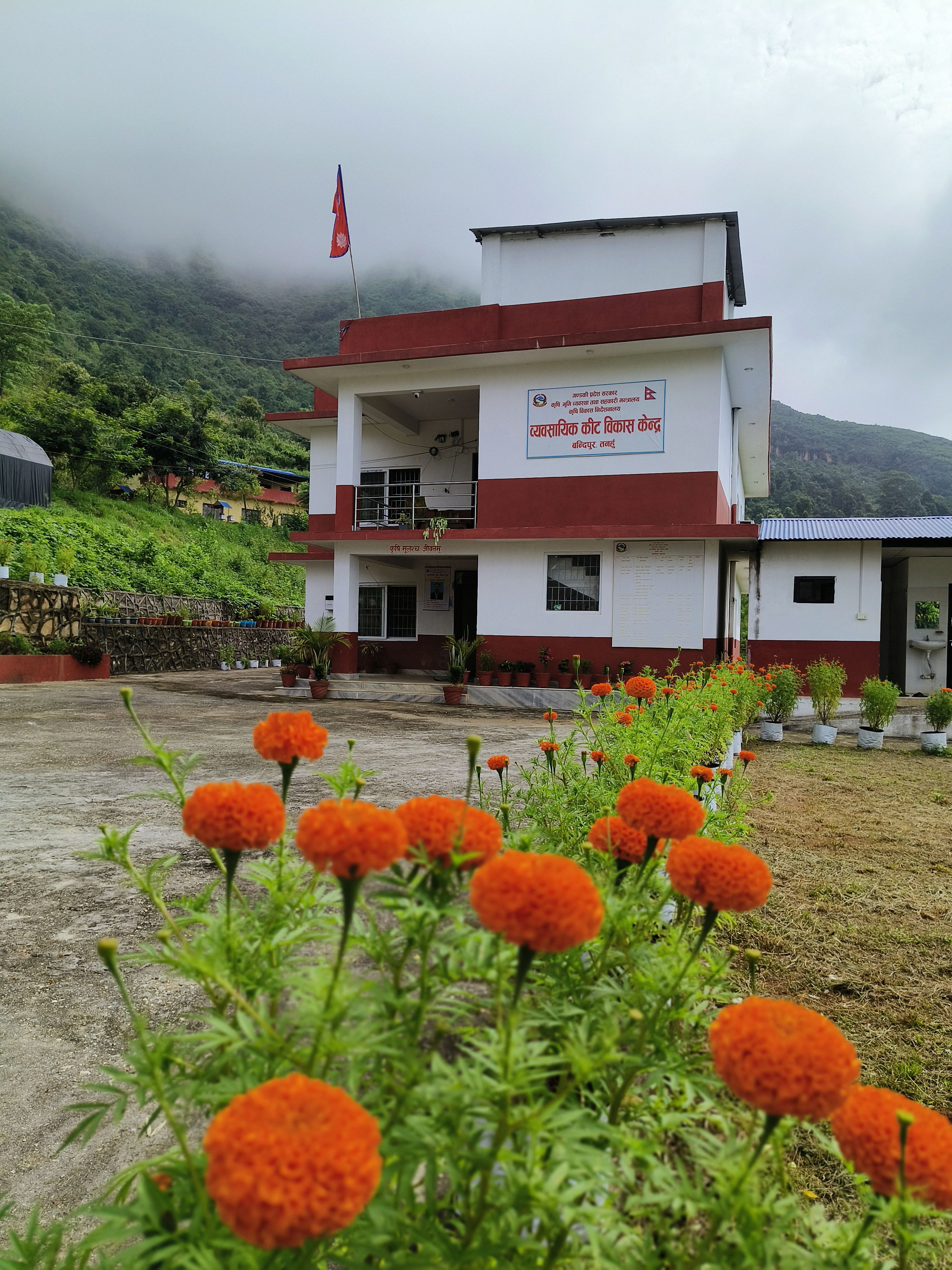  कार्यालय भवन 
